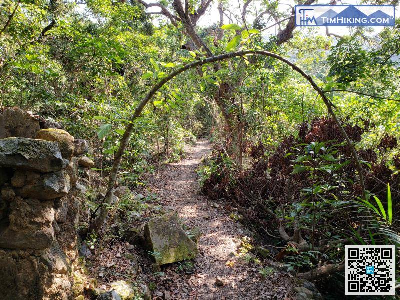 Next, we will go to Pai Tau Tun,