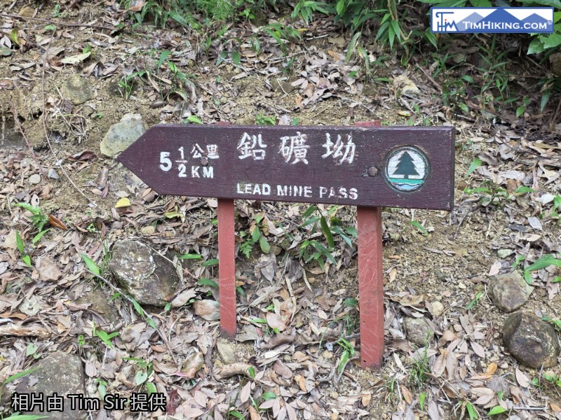相片 36
