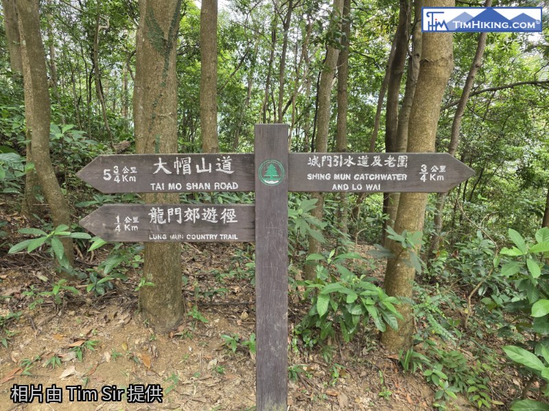 相片 48