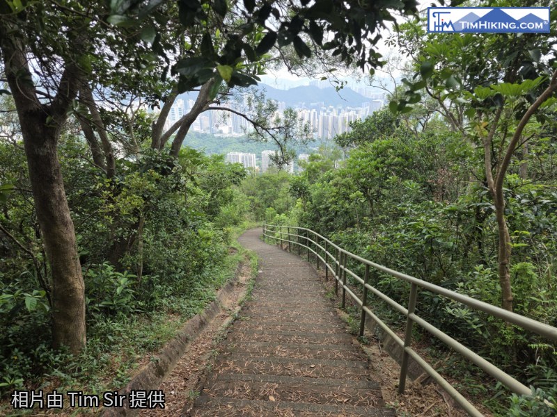 相片 55