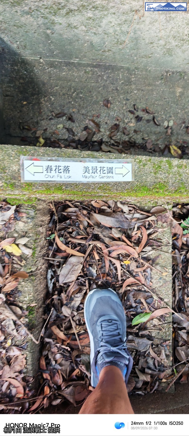 相片 5