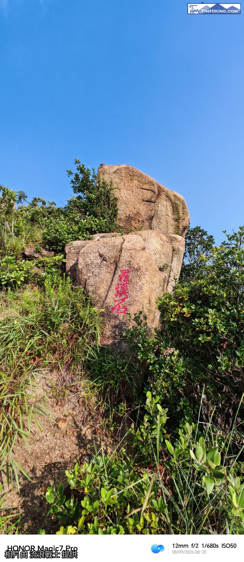 相片 7