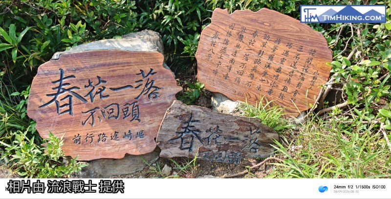 相片 9